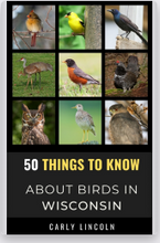 Load image into Gallery viewer, WordHaven BookHouse Books