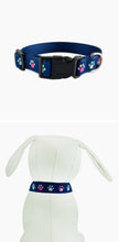 Load image into Gallery viewer, Trendy Paws Dog  Collar