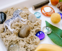 Load image into Gallery viewer, Sensory Kit - Safari