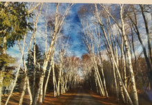 Load image into Gallery viewer, Debra Kissel -Note card w/envelope
