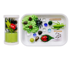 Sensory Kit - Bugs