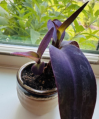 Propagation Workshop by Kate (Nov 2025)