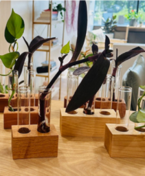 Propagation Workshop by Kate (Nov 2025)