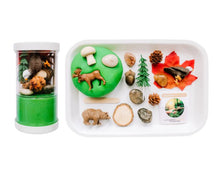 Load image into Gallery viewer, Sensory Kit - Woodland
