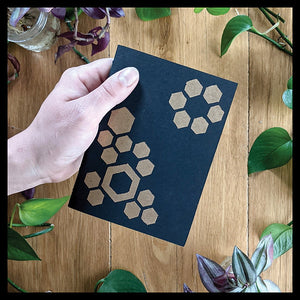 Madison Dawne Studio - Honeycomb Booklet